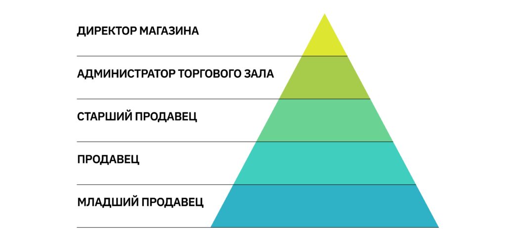 иерархия организации