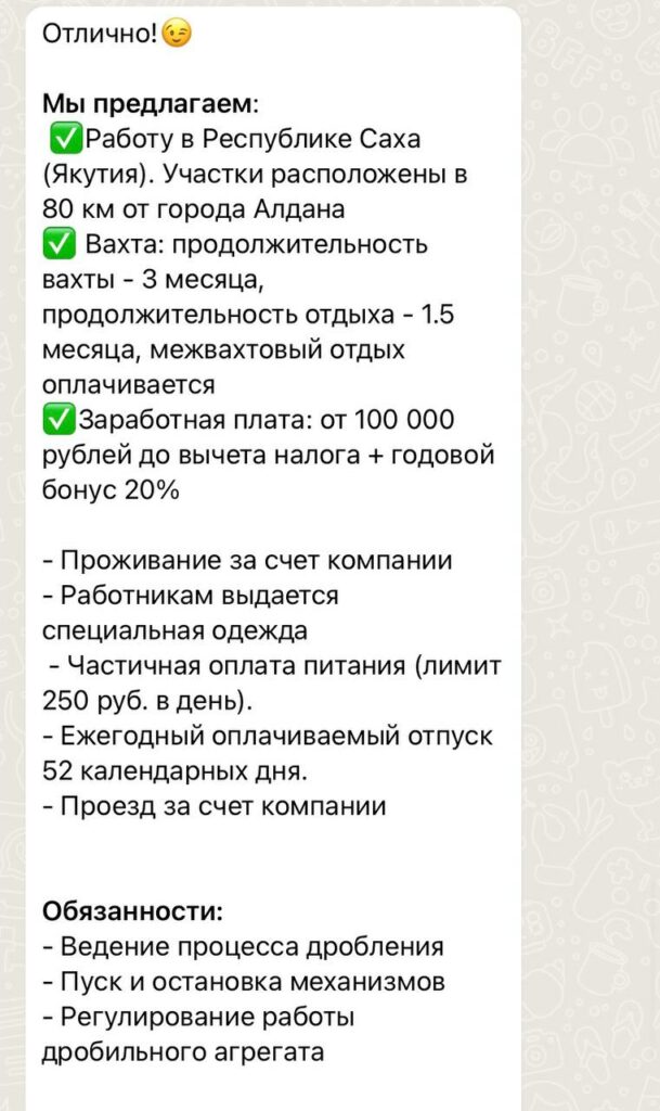 Бот рассказывает подробности о вакансии, чтобы заинтересовать кандидата