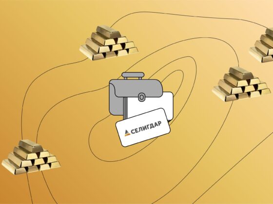 Кейс «Селигдар»