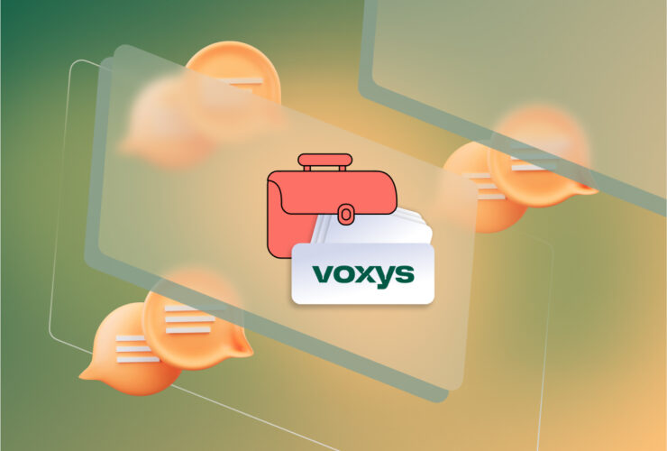 Кейс: Voxys